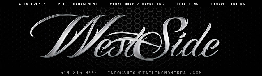 car detailing logo